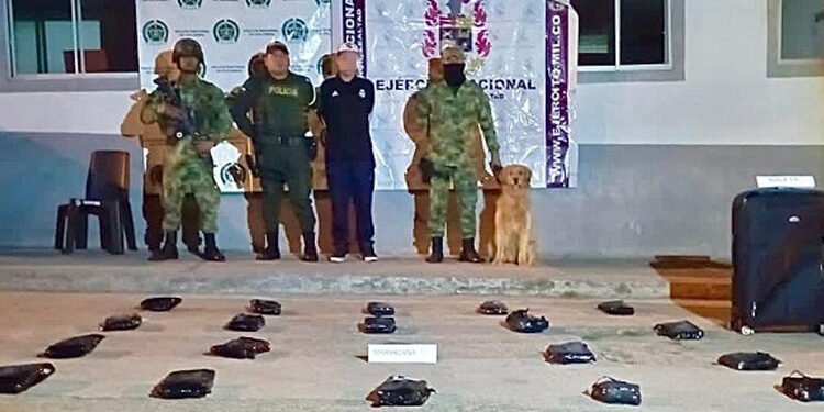 20 kilos de marihuana avaluados en más de 30 millones de pesos fueron incautados por soldados del Ejército Nacional en carreteras del Tolima
