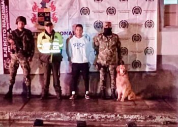 ¡‘Killer’ lo volvió hacer! Se logró detectar 10 mil dosis de marihuana en el municipio de Cajamarca