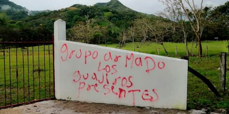 Organizaciones de derechos humanos emiten alerta temprana por grupos armados en Chaparral 