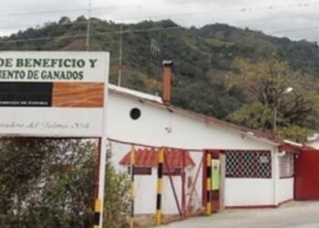 Ponen en cintura a los “Mataderos” en el Tolima