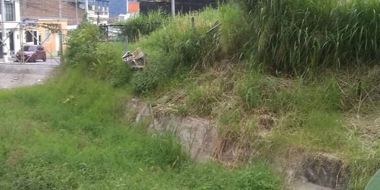 Habitantes de la comuna 2 denuncian que Cortolima se ha olvidado de los cerros Noroccidentales