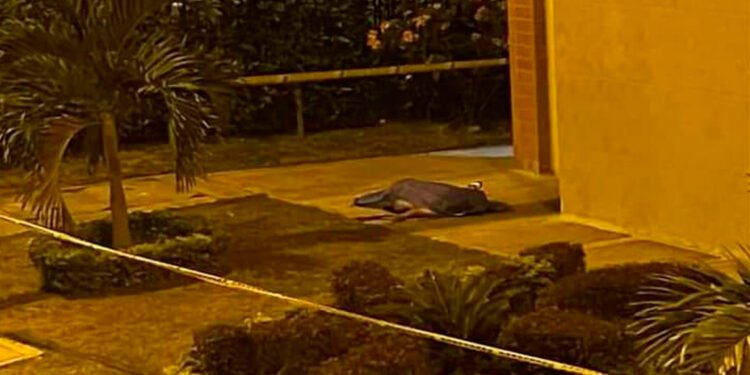 Una mujer en la Arboleda Campestre cayó de un quinto piso