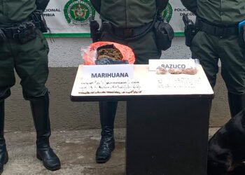 800 dosis de estupefacientes fueron halladas en zon boscosa de Picaleña&nbsp;&nbsp;