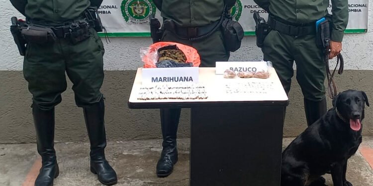 800 dosis de estupefacientes fueron halladas en zon boscosa de Picaleña