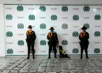 Una más para Osaka. En una encomienda fueron halladas 80 mil dosis de marihuana&nbsp;