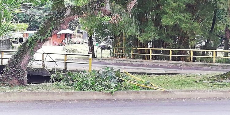 Colapsó un tubo de alcantarillado en el barrio Cañaveral