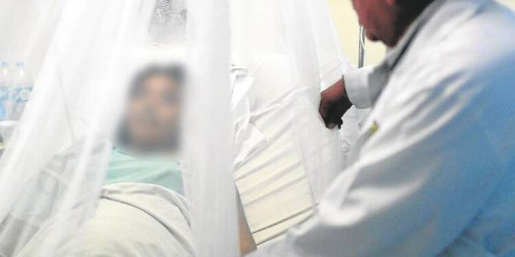 Falleció el paciente que presentaba síntomas de Dengue Hemorrágico