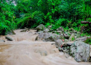 Cortolima no dio viabilidad para captación de agua solicitada por el Ibal