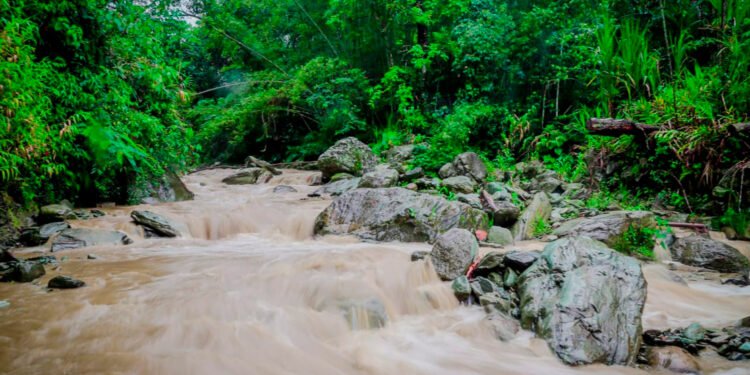Cortolima no dio viabilidad para captación de agua solicitada por el Ibal