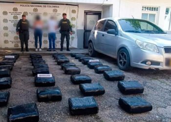 En menos de una semana cayó nuevo cargamento de estupefacientes en vías del Tolima