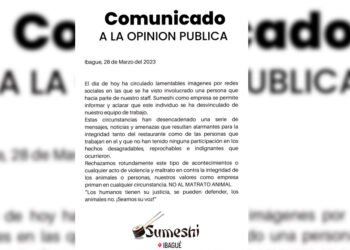 Fue despedido del trabajo por presunto maltrato animal a individuo que estrelló contra un muro a gato en Ibagué