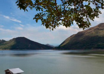 Cortolima impuso millonarias multas al distrito de adecuación de tierras Asoprado y la Avícola Triple A