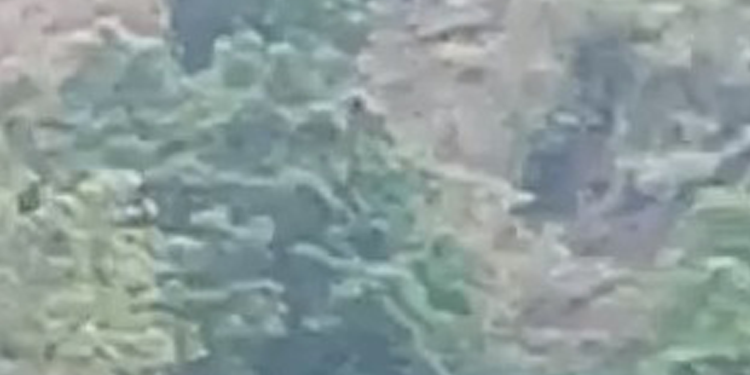 Emergencia por remoción en masa en Roncesvalles