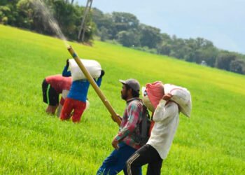 Agricultores del Tolima conozca cómo adquirir fertilizantes y abonos orgánicos a bajo costo