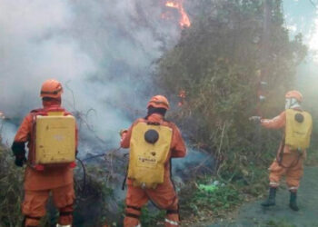 En el Tolima reforzarán medidas para mitigar incendios