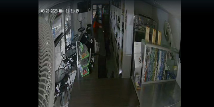 ‘A puño y peluca’ ladrones robaron establecimiento comercial en Ibagué