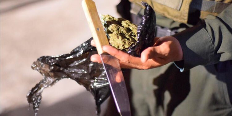 Menores de edad, drogas y armas encontraron las autoridades en establecimientos nocturnos de Ibagué