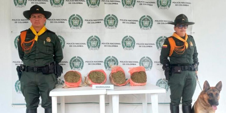 Policía del Tolima incautó 6 kilos de base de coca en la vía Melgar – Bogotá
