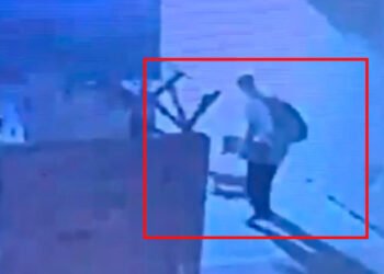 Contra el muro y sin piedad, jovencito agarra un gato contra la pared en Ibagué