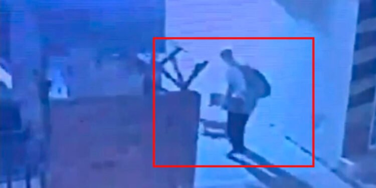 Contra el muro y sin piedad, jovencito agarra un gato contra la pared en Ibagué