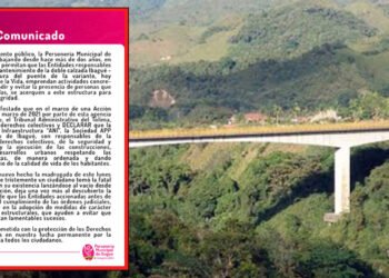 Personería de Ibagué reclama por incumplir acción popular que ordena instalar malla de seguridad en el puente de la variante