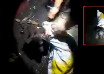 Un perro que lanzaron a un río amarrado y metido entre un costal fue salvado por los bomberos en Lérida&nbsp;