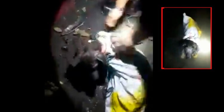 Un perro que lanzaron a un río amarrado y metido entre un costal fue salvado por los bomberos en Lérida