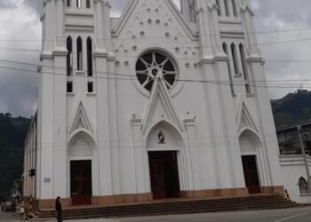 Un Caballo arrastró y mató a un hombre en Líbano