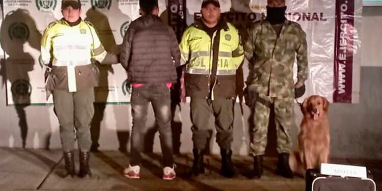 Un venezolano fue capturado con más de 12 kilos de marihuana