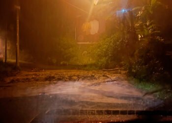 Emergencias por lluvias en el Cañón del Combeima&nbsp;