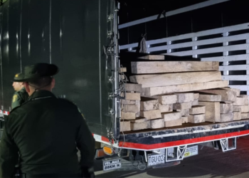 Autoridades incautaron carga de madera ilegal, esta vez en el municipio de Alvarado