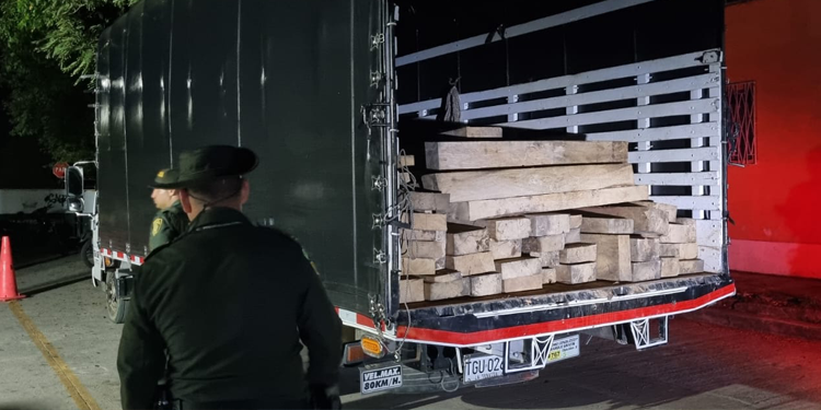 Autoridades incautaron carga de madera ilegal, esta vez en el municipio de Alvarado