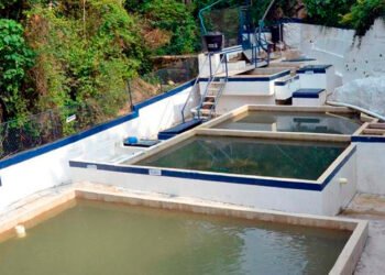 Familias de Ibagué están recibiendo agua contaminada de acueducto El Triunfo de Ambalá IBAL niega responsabilidades