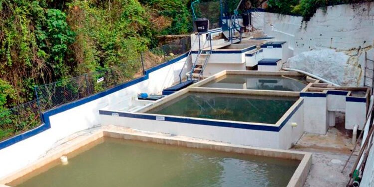 Familias de Ibagué están recibiendo agua contaminada de acueducto El Triunfo de Ambalá IBAL niega responsabilidades