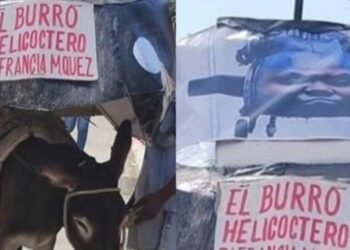 En curioso festival burro disfrazado del “helicóptero de Francia Márquez” ganó jugoso premio