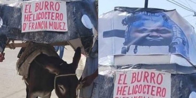 En curioso festival burro disfrazado del “helicóptero de Francia Márquez” ganó jugoso premio