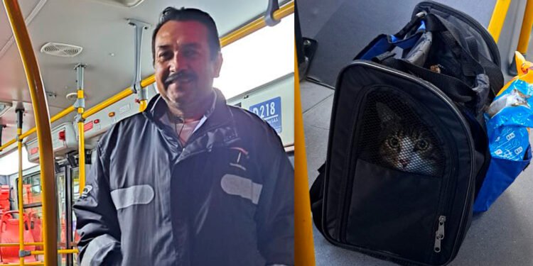 Gatico abandonado en vagón de Transmilenio fue adoptado por el conductor que lo encontró