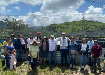 80 mil alevinos de tilapia roja fueron entregados a familias del departamento&nbsp;