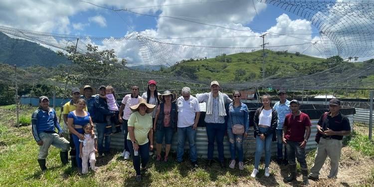 80 mil alevinos de tilapia roja fueron entregados a familias del departamento&nbsp;