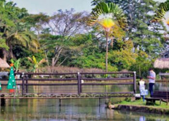 Los Cacos pescaron 40 millones de pesos en Puerto Mojarra