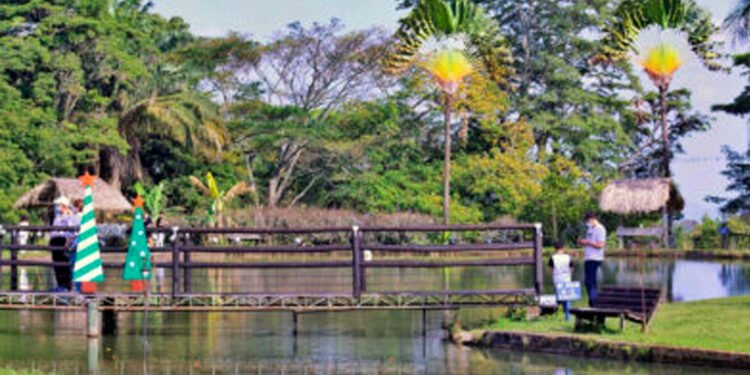 Los Cacos pescaron 40 millones de pesos en Puerto Mojarra