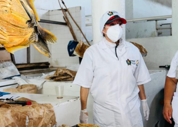Control y vigilancia a la comercialización de pescado en el Tolima