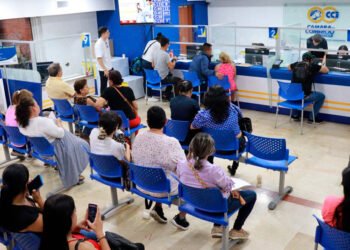 Buen balance entregó la Cámara de Comercio de Ibagué en la renovación del registro mercantil