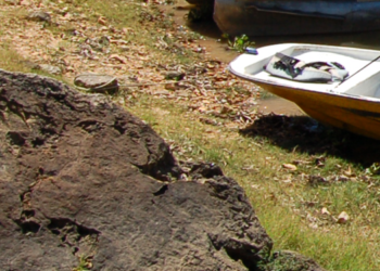 Deslizamiento de tierra afectó casa quinta en Prado