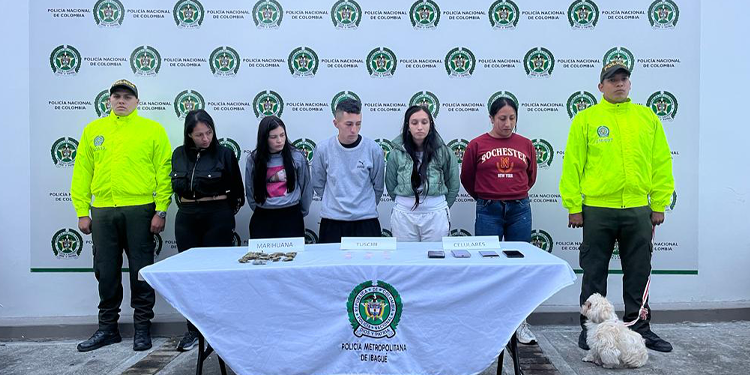 ‘Los Mompis’, dedicados al hurto a residencias en Ibagué, fueron capturados