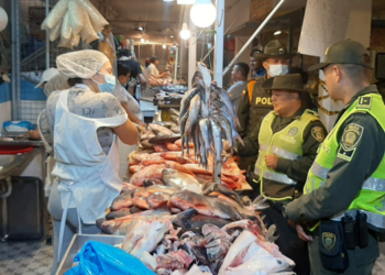Operativos de Control para el pescado esta Semana Santa&nbsp;