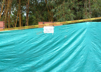 Ordenan demolición de obra ilegal en reserva natural del barrio Alcalá