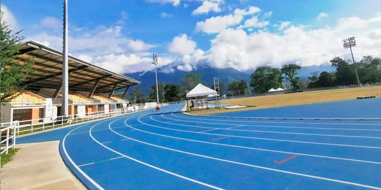 Dos atletas tolimenses a selección Colombia para suramericano juvenil