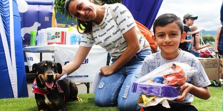 17 familias tienen mascota nueva