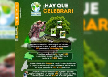 ¡Un paraíso natural!, Colombia se ratificó como el país con más aves en el mundo